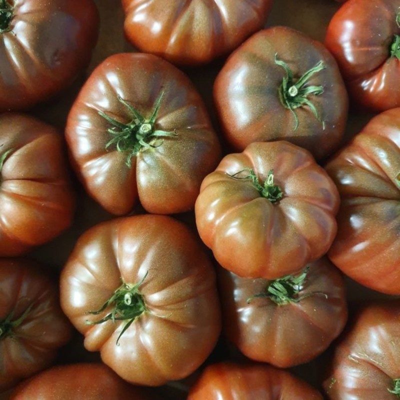 2KG TOMATES NOIRE DE CRIMÉE LOCAL - DESCLICS PAYSAN, LE GOÛT DU BIO SOLIDAIRE PRÈS DE CHEZ VOUS