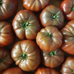 2KG TOMATES NOIRE DE CRIMÉE LOCAL - DESCLICS PAYSAN, LE GOÛT DU BIO SOLIDAIRE PRÈS DE CHEZ VOUS