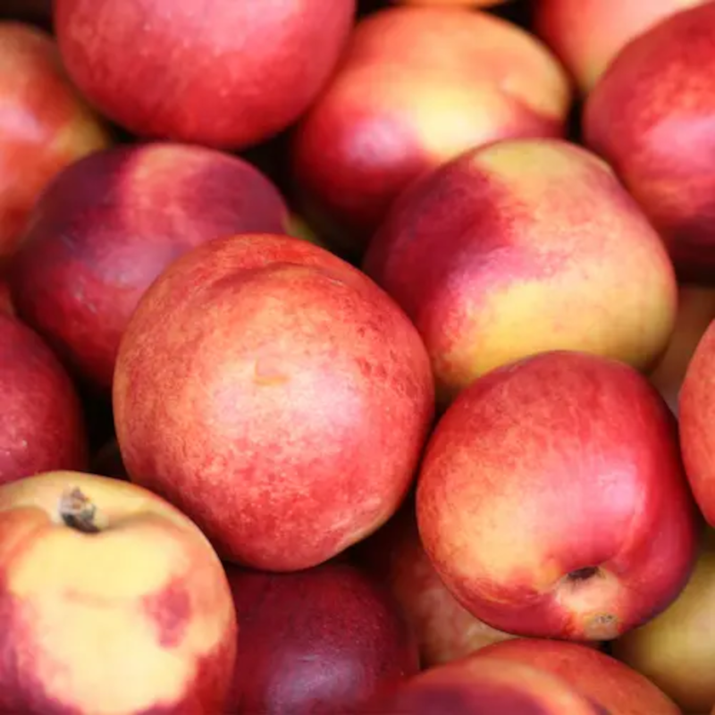 NECTARINE BLANCHE LOCAL - DESCLICS PAYSAN, LE GOÛT DU BIO SOLIDAIRE PRÈS DE CHEZ VOUS