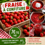 FRAISE À CONFITURE LOCAL - DESCLICS PAYSAN, LE GOÛT DU BIO SOLIDAIRE PRÈS DE CHEZ VOUS