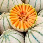 MELON BIO - DESCLICS PAYSAN, LE GOÛT DU BIO SOLIDAIRE PRÈS DE CHEZ VOUS