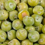 PRUNE REINE CLAUDE BIO - DESCLICS PAYSAN, LE GOÛT DU BIO SOLIDAIRE PRÈS DE CHEZ VOUS