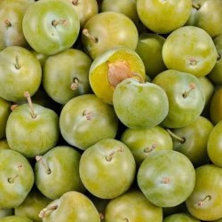 PRUNE REINE CLAUDE BIO - DESCLICS PAYSAN, LE GOÛT DU BIO SOLIDAIRE PRÈS DE CHEZ VOUS