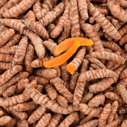 CURCUMA BIO - DESCLICS PAYSAN, LE GOÛT DU BIO SOLIDAIRE PRÈS DE CHEZ VOUS