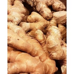 GINGEMBRE BIO - DESCLICS PAYSAN, LE GOÛT DU BIO SOLIDAIRE PRÈS DE CHEZ VOUS
