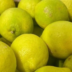 CITRON BIO - DESCLICS PAYSAN, LE GOÛT DU BIO SOLIDAIRE PRÈS DE CHEZ VOUS