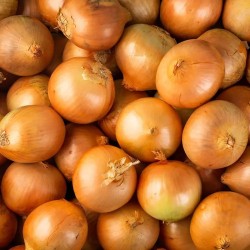 OIGNON JAUNE BIO - DESCLICS PAYSAN, LE GOÛT DU BIO SOLIDAIRE PRÈS DE CHEZ VOUS