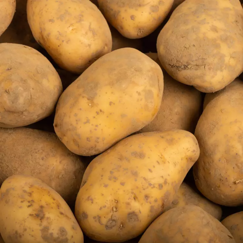POMME DE TERRE CHAIR FERME LOCAL - DESCLICS PAYSAN, LE GOÛT DU BIO SOLIDAIRE PRÈS DE CHEZ VOUS