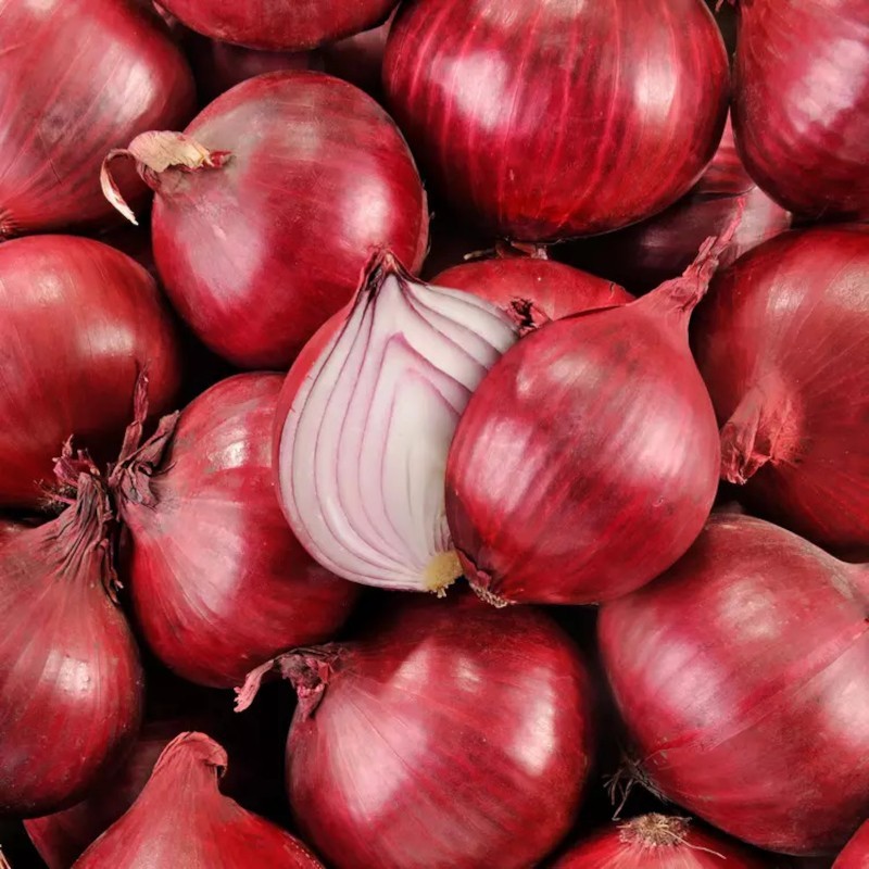OIGNON ROUGE BIO - DESCLICS PAYSAN, LE GOÛT DU BIO SOLIDAIRE PRÈS DE CHEZ VOUS