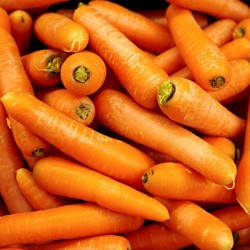 CAROTTE BIO - DESCLICS PAYSAN, LE GOÛT DU BIO SOLIDAIRE PRÈS DE CHEZ VOUS