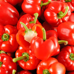 POIVRON ROUGE BIO - DESCLICS PAYSAN, LE GOÛT DU BIO SOLIDAIRE PRÈS DE CHEZ VOUS