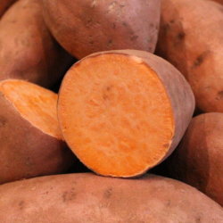 PATATE DOUCE ROSE BIO - DESCLICS PAYSAN, LE GOÛT DU BIO SOLIDAIRE PRÈS DE CHEZ VOUS