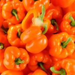 POIVRON ORANGE BIO - DESCLICS PAYSAN, LE GOÛT DU BIO SOLIDAIRE PRÈS DE CHEZ VOUS