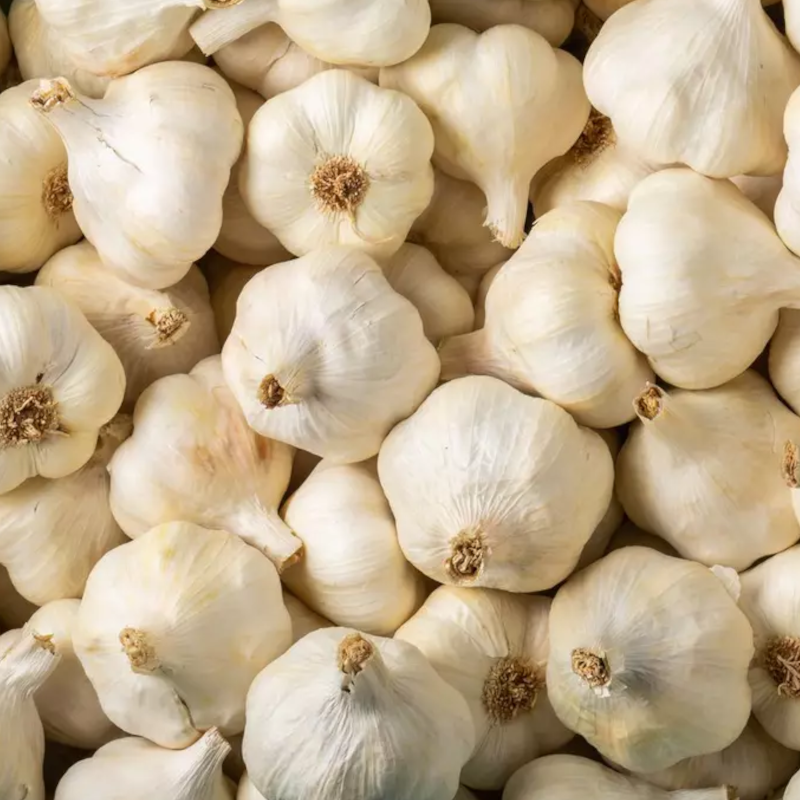 AIL BIO - DESCLICS PAYSAN, LE GOÛT DU BIO SOLIDAIRE PRÈS DE CHEZ VOUS