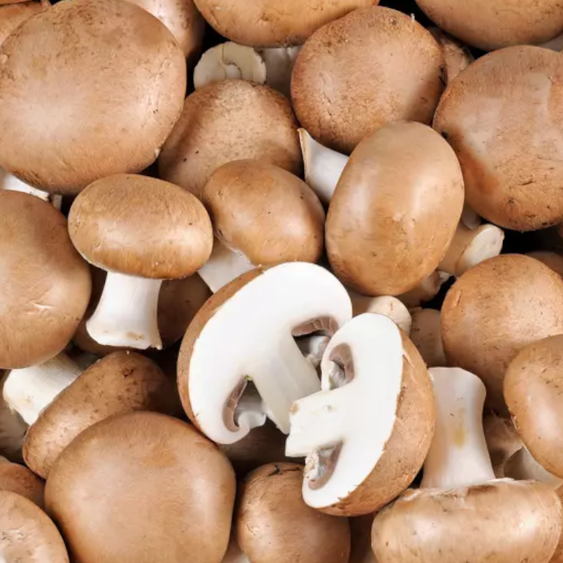 CHAMPIGNON DE PARIS - DESCLICS PAYSAN, LE GOÛT DU BIO SOLIDAIRE PRÈS DE CHEZ VOUS