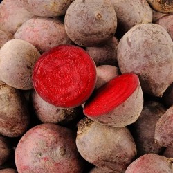 BETTERAVE CRUE BIO - DESCLICS PAYSAN, LE GOÛT DU BIO SOLIDAIRE PRÈS DE CHEZ VOUS