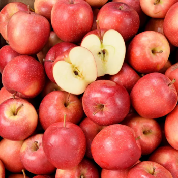 POMME GAYA BIO - DESCLICS PAYSAN, LE GOÛT DU BIO SOLIDAIRE PRÈS DE CHEZ VOUS