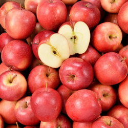 POMME GAYA BIO - DESCLICS PAYSAN, LE GOÛT DU BIO SOLIDAIRE PRÈS DE CHEZ VOUS