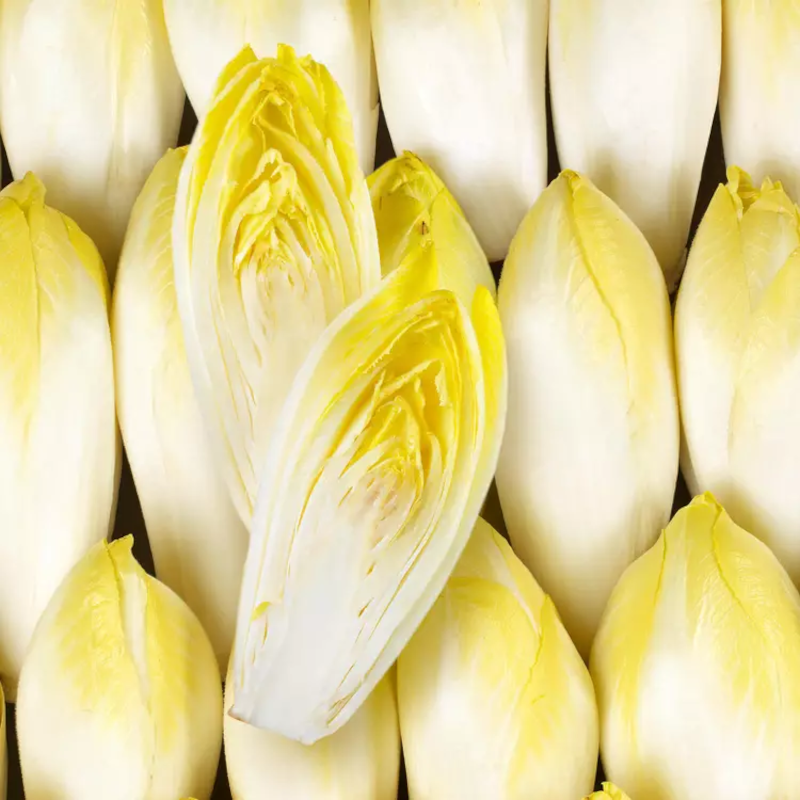 ENDIVE LOCAL - DESCLICS PAYSAN, LE GOÛT DU BIO SOLIDAIRE PRÈS DE CHEZ VOUS
