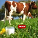 LAIT DE VACHE ENTIER BIO - DESCLICS PAYSAN, LE GOÛT DU BIO SOLIDAIRE PRÈS DE CHEZ VOUS LAIT DE VACHE ENTIER BIO - DESCLICS PAYSAN, LE GOÛT DU BIO SOLIDAIRE PRÈS DE CHEZ VOUS