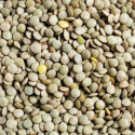 2KG LENTILLE VERTE BIO - DESCLICS PAYSAN, LE GOÛT DU BIO SOLIDAIRE PRÈS DE CHEZ VOUS 2KG LENTILLE VERTE BIO - DESCLICS PAYSAN, LE GOÛT DU BIO SOLIDAIRE PRÈS DE CHEZ VOUS