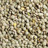 2KG LENTILLE VERTE BIO - DESCLICS PAYSAN, LE GOÛT DU BIO SOLIDAIRE PRÈS DE CHEZ VOUS