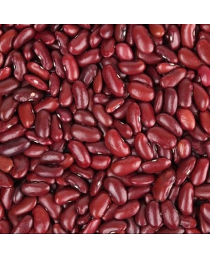 HARICOTS ROUGES BIO - DESCLICS PAYSAN, LE GOÛT DU BIO SOLIDAIRE PRÈS DE CHEZ VOUS