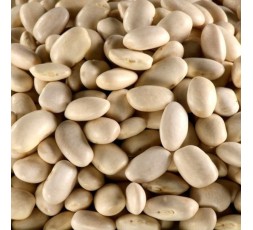 HARICOTS BLANCS BIO - DESCLICS PAYSAN, LE GOÛT DU BIO SOLIDAIRE PRÈS DE CHEZ VOUS