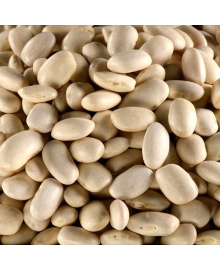 HARICOTS BLANCS BIO - DESCLICS PAYSAN, LE GOÛT DU BIO SOLIDAIRE PRÈS DE CHEZ VOUS HARICOTS BLANCS BIO - DESCLICS PAYSAN, LE GOÛT DU BIO SOLIDAIRE PRÈS DE CHEZ VOUS