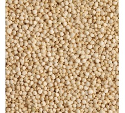 QUINOA BIO - DESCLICS PAYSAN, LE GOÛT DU BIO SOLIDAIRE PRÈS DE CHEZ VOUS