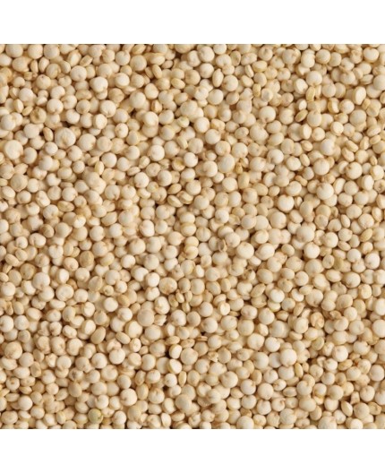 QUINOA BIO - DESCLICS PAYSAN, LE GOÛT DU BIO SOLIDAIRE PRÈS DE CHEZ VOUS