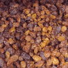 RAISINS SECS BIO - DESCLICS PAYSAN, LE GOÛT DU BIO SOLIDAIRE PRÈS DE CHEZ VOUS