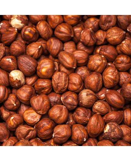 NOISETTE BIO - DESCLICS PAYSAN, LE GOÛT DU BIO SOLIDAIRE PRÈS DE CHEZ VOUS NOISETTE BIO - DESCLICS PAYSAN, LE GOÛT DU BIO SOLIDAIRE PRÈS DE CHEZ VOUS