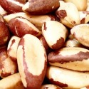 NOIX DU BRÉSIL BIO - DESCLICS PAYSAN, LE GOÛT DU BIO SOLIDAIRE PRÈS DE CHEZ VOUS
