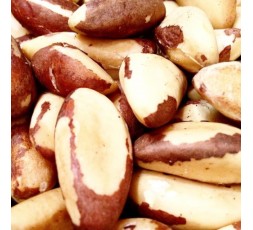 NOIX DU BRÉSIL BIO - DESCLICS PAYSAN, LE GOÛT DU BIO SOLIDAIRE PRÈS DE CHEZ VOUS