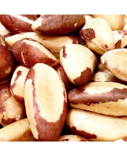 NOIX DU BRÉSIL BIO - DESCLICS PAYSAN, LE GOÛT DU BIO SOLIDAIRE PRÈS DE CHEZ VOUS