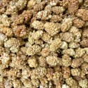 MÛRES BLANCHES BIO - DESCLICS PAYSAN, LE GOÛT DU BIO SOLIDAIRE PRÈS DE CHEZ VOUS