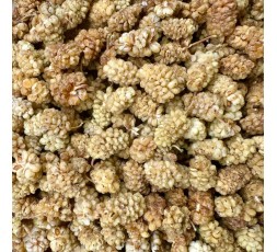 MÛRES BLANCHES BIO - DESCLICS PAYSAN, LE GOÛT DU BIO SOLIDAIRE PRÈS DE CHEZ VOUS