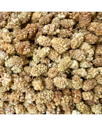 MÛRES BLANCHES BIO - DESCLICS PAYSAN, LE GOÛT DU BIO SOLIDAIRE PRÈS DE CHEZ VOUS