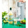 MOJITO PULPES LOCAL - DESCLICS PAYSAN, LE GOÛT DU BIO SOLIDAIRE PRÈS DE CHEZ VOUS