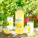 SIROP DE CITRON LOCAL - DESCLICS PAYSAN, LE GOÛT DU BIO SOLIDAIRE PRÈS DE CHEZ VOUS