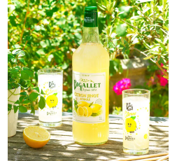 SIROP DE CITRON LOCAL - DESCLICS PAYSAN, LE GOÛT DU BIO SOLIDAIRE PRÈS DE CHEZ VOUS