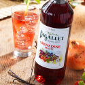 SIROP DE GRENADINE LOCAL - DESCLICS PAYSAN, LE GOÛT DU BIO SOLIDAIRE PRÈS DE CHEZ VOUS