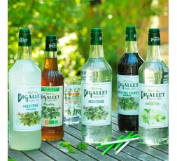 SIROP DE MENTHE LOCAL - DESCLICS PAYSAN, LE GOÛT DU BIO SOLIDAIRE PRÈS DE CHEZ VOUS