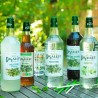 SIROP DE MENTHE LOCAL - DESCLICS PAYSAN, LE GOÛT DU BIO SOLIDAIRE PRÈS DE CHEZ VOUS