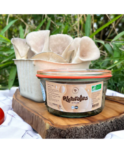 PLEUROTES À L'HUILE BIO - DESCLICS PAYSAN, LE GOÛT DU BIO SOLIDAIRE PRÈS DE CHEZ VOUS PLEUROTES À L'HUILE BIO - DESCLICS PAYSAN, LE GOÛT DU BIO SOLIDAIRE PRÈS DE CHEZ VOUS