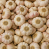 AIL BIO - DESCLICS PAYSAN, LE GOÛT DU BIO SOLIDAIRE PRÈS DE CHEZ VOUS