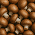 CHAMPIGNON DE PARIS - DESCLICS PAYSAN, LE GOÛT DU BIO SOLIDAIRE PRÈS DE CHEZ VOUS