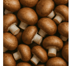 CHAMPIGNON DE PARIS - DESCLICS PAYSAN, LE GOÛT DU BIO SOLIDAIRE PRÈS DE CHEZ VOUS