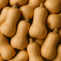 BUTTERNUT BIO - DESCLICS PAYSAN, LE GOÛT DU BIO SOLIDAIRE PRÈS DE CHEZ VOUS BUTTERNUT BIO - DESCLICS PAYSAN, LE GOÛT DU BIO SOLIDAIRE PRÈS DE CHEZ VOUS